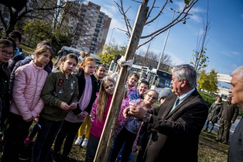 Fotó:Pelsőczy Csaba