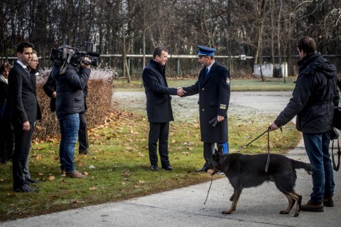 Fotó: AM/Pelsőczy Csaba