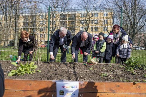 A kertészkedés éve programsorozat célkitűzése az, hogy a magyar emberek minél több zöldséget és gyümölcsöt termeljenek, vásároljanak és fogyasszanak Fotó: Pelsőczy Csaba/FM