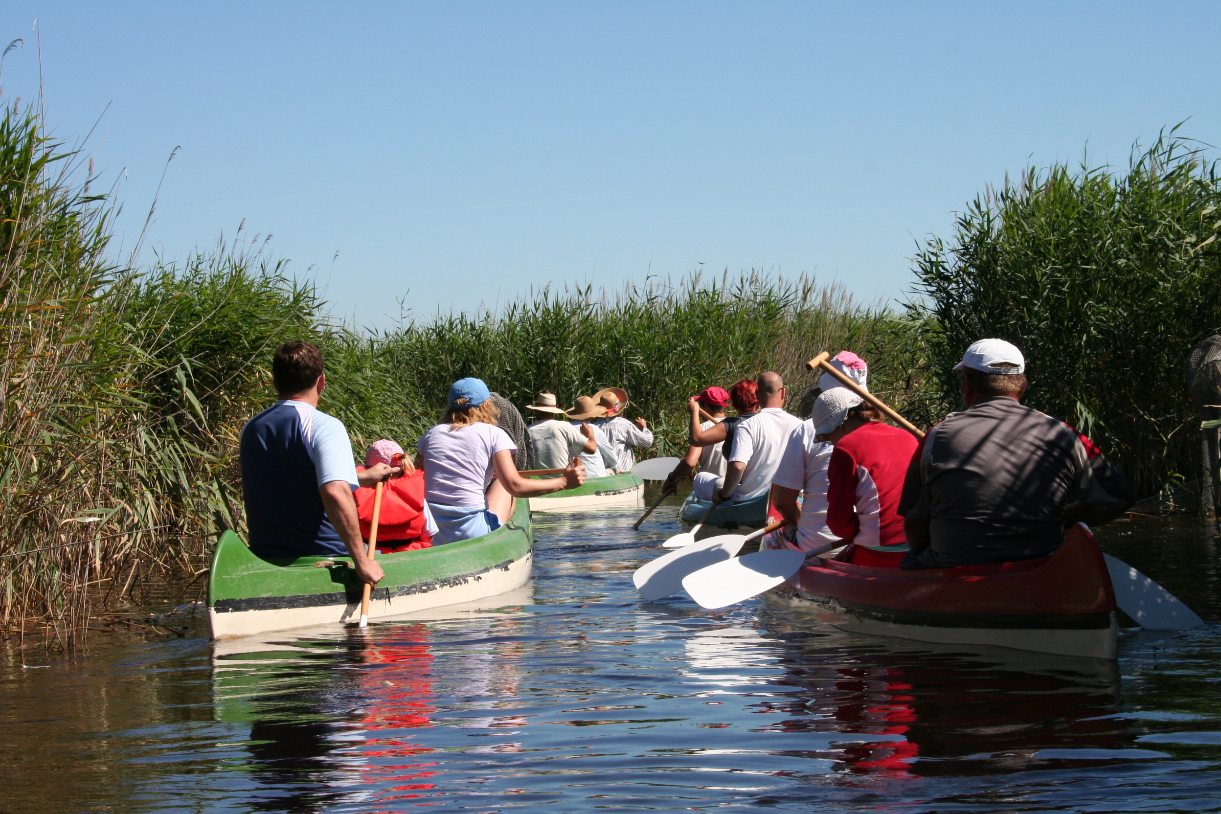 Forrás: Fertő-Hanság Nemzeti Park