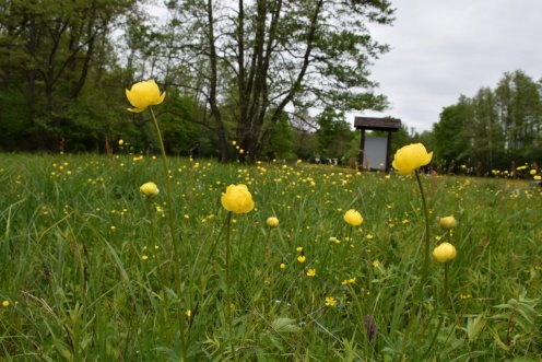 Fotó: Őrségi Nemzeti Park Igazgatóság