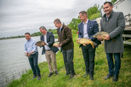 Fotó: Fekete István