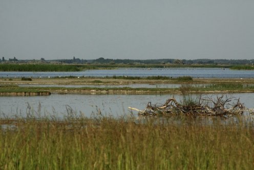 Fotó: Kiskunsági Nemzeti Park Igazgatóság