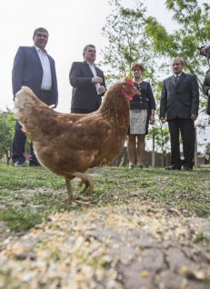 Fotó: Derencsényi István/Hajdú-Bihari Napló