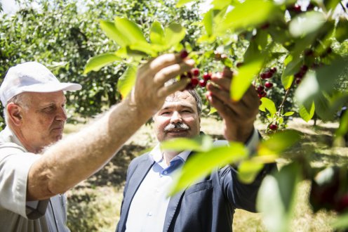 Fotó: Botár Gergely