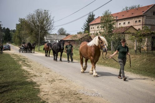 Fotó: Pelsőczy Csaba