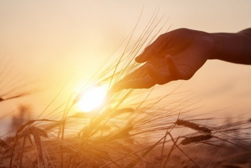 Fotó: Shutterstock