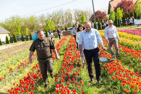 Fotó: Fekete István