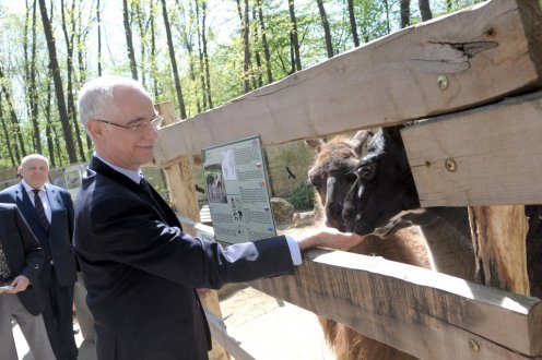 Fotó: Bartos Gyula/EMMI