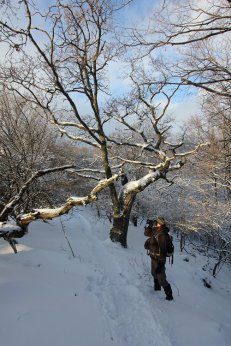 Forrás: Bükki Nemzeti Park Igazgatóság