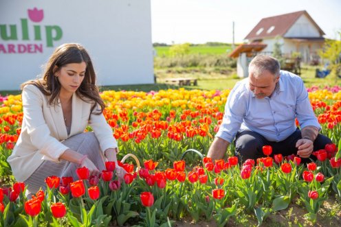 Fotó: Fekete István