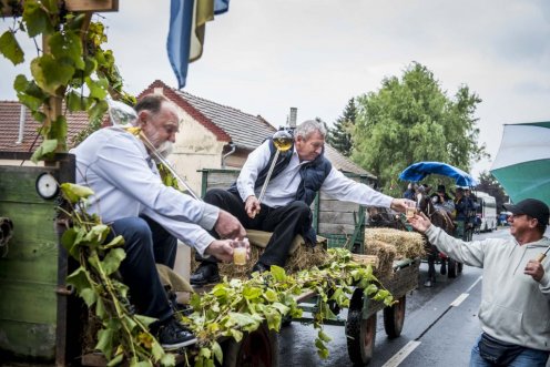 Fotó: Pelsőczy Csaba